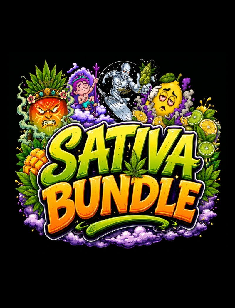 Sativa Bundle - Cannabis-Samen von Greenhouse Seeds