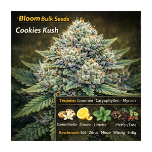 Cookies Kush