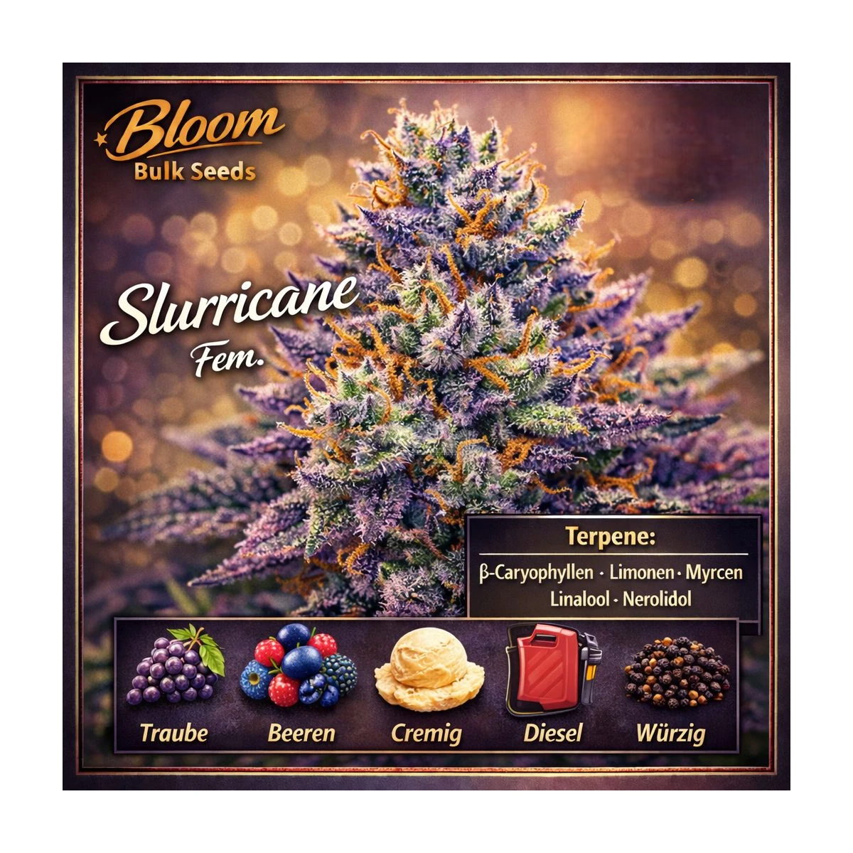 Slurricane