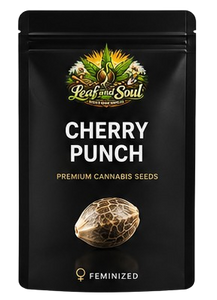 Cherry Punch