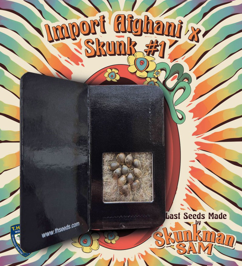 Import Afghani x Skunk #1 - Skunkman Sam - Bild 6 von 6