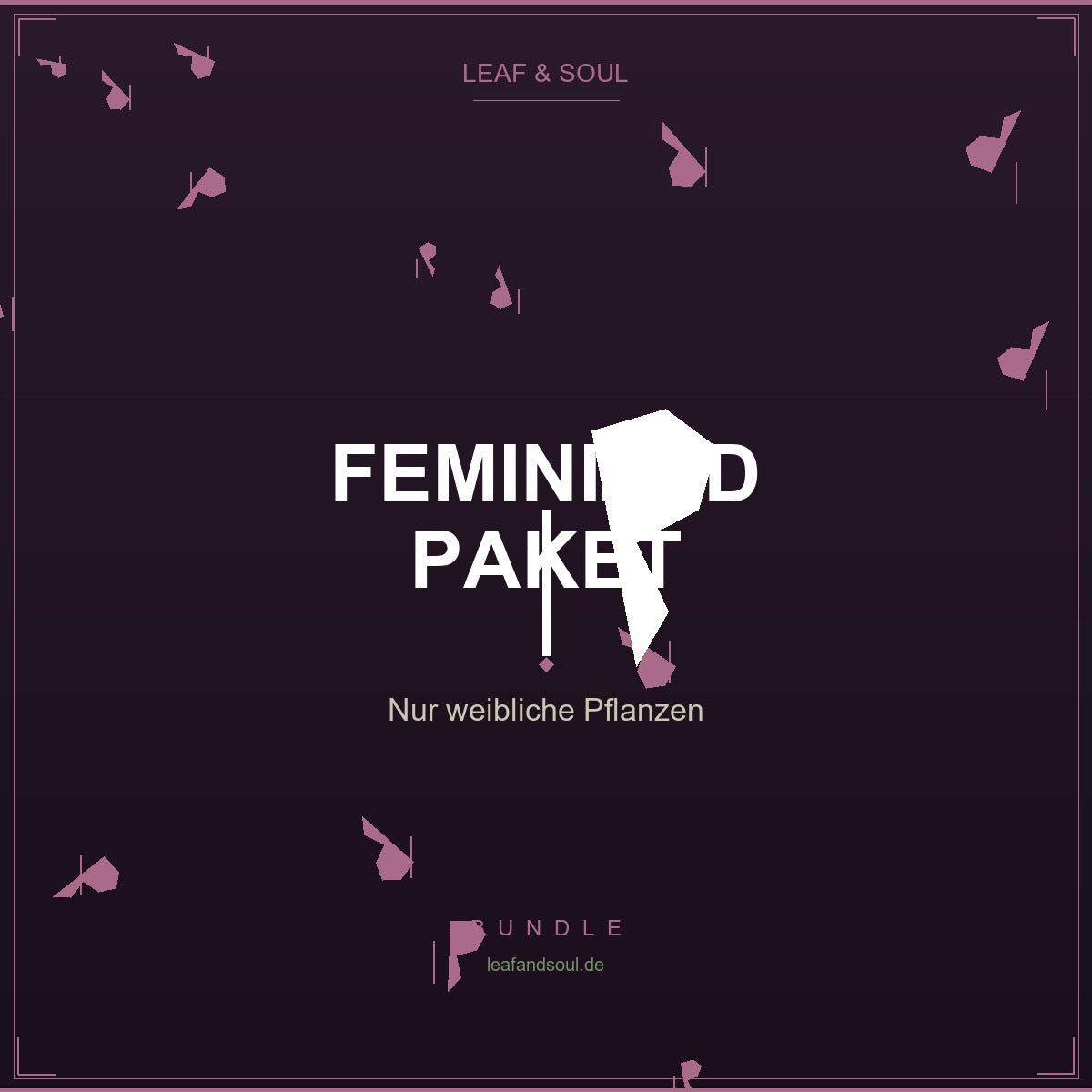 Feminized-Paket Cannabis Samen kaufen bei Leaf & Soul