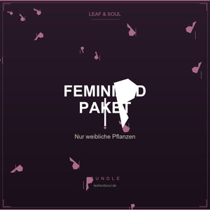 Feminized-Paket