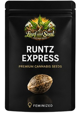 Runtz Express