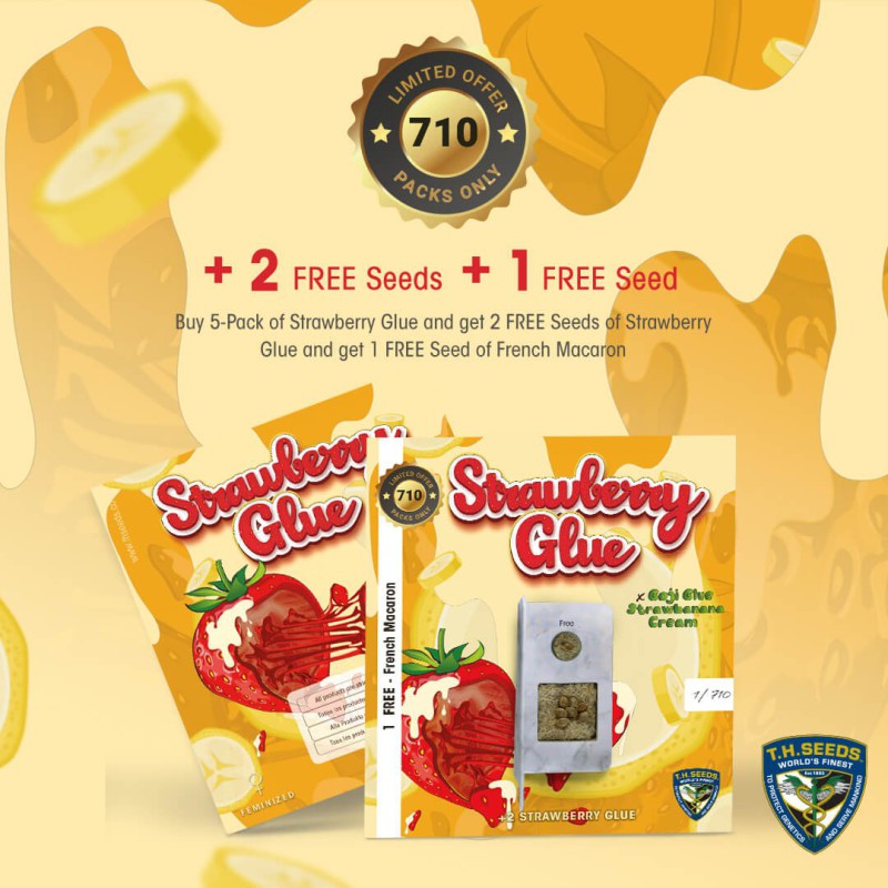 Strawberry Glue 710 Special Pack - Bild 6 von 6