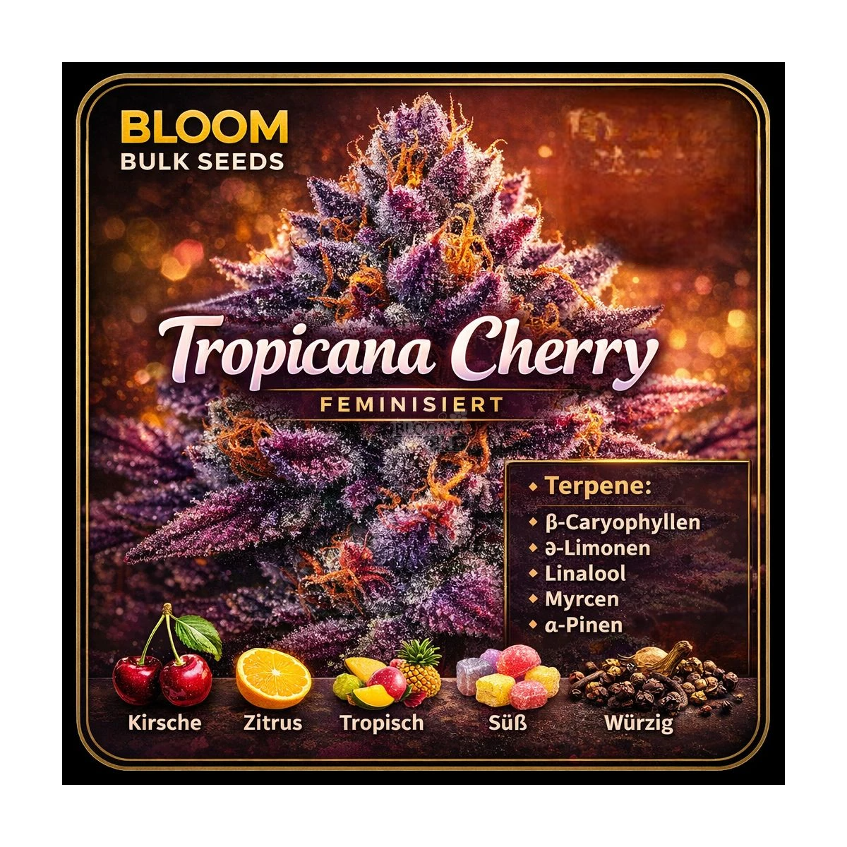 Tropicana Cherry