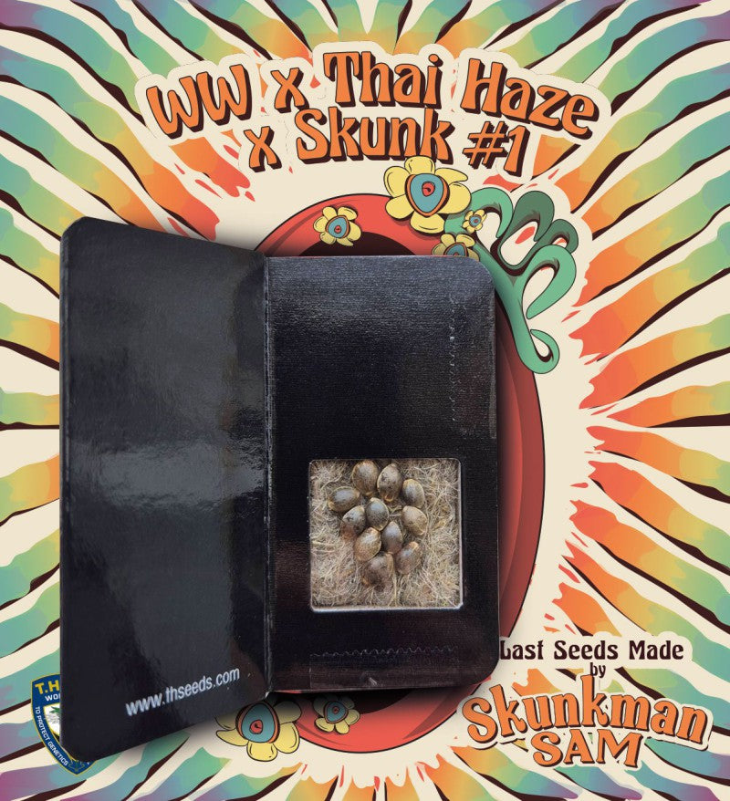 WW x Thai Haze x Skunk #1 - Skunkman Sam - Bild 6 von 6