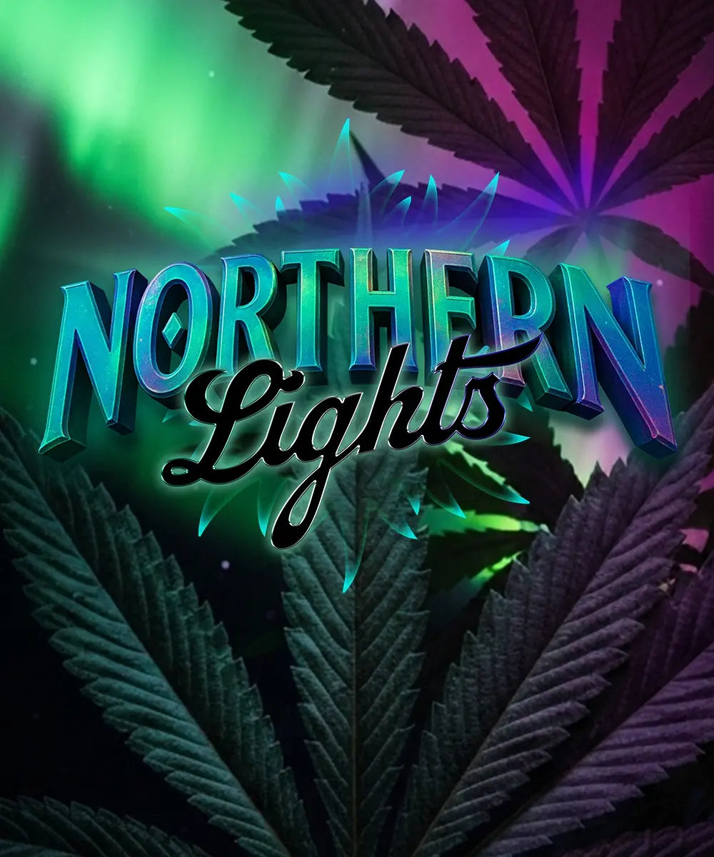 Northern Lights - Leaf and Soul Samen