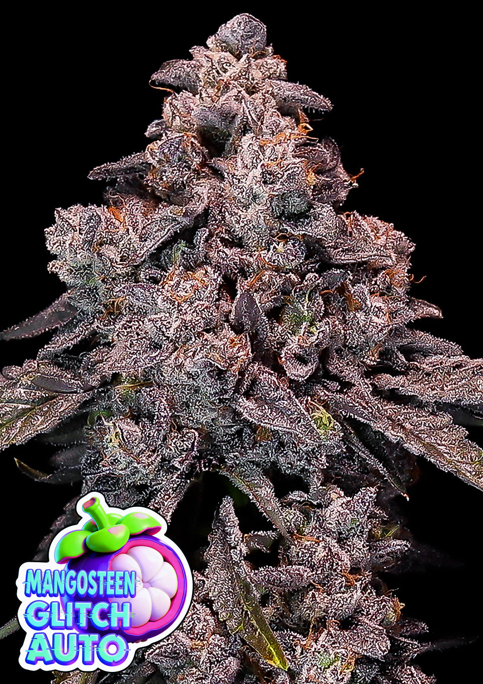 Mangosteen Glitch Auto - Leaf and Soul Samen