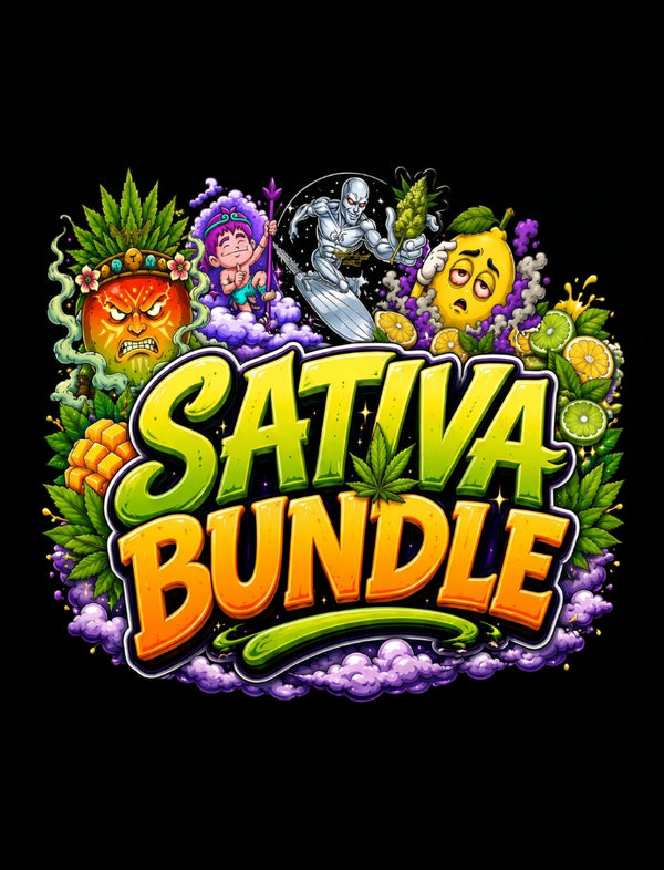 Sativa Bundle - Cannabis-Samen von Greenhouse Seeds