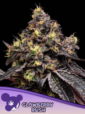 Glowberry Rush - Bild 1 von 4