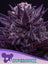 IMPERIUM X®