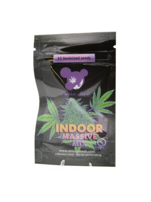 Indoor Massive Mix - Bild 1 von 4