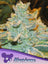 Slurricane