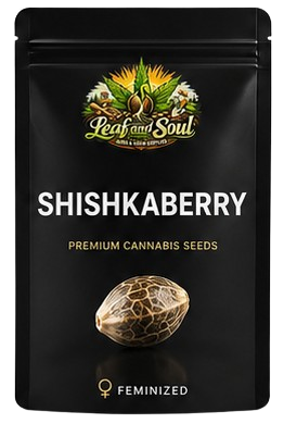 Shishka Berry - Leaf and Soul Samen