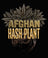 Afghan Hash Plant - Regular