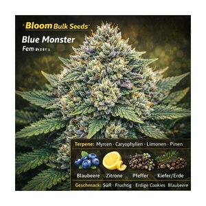 Blue Monster