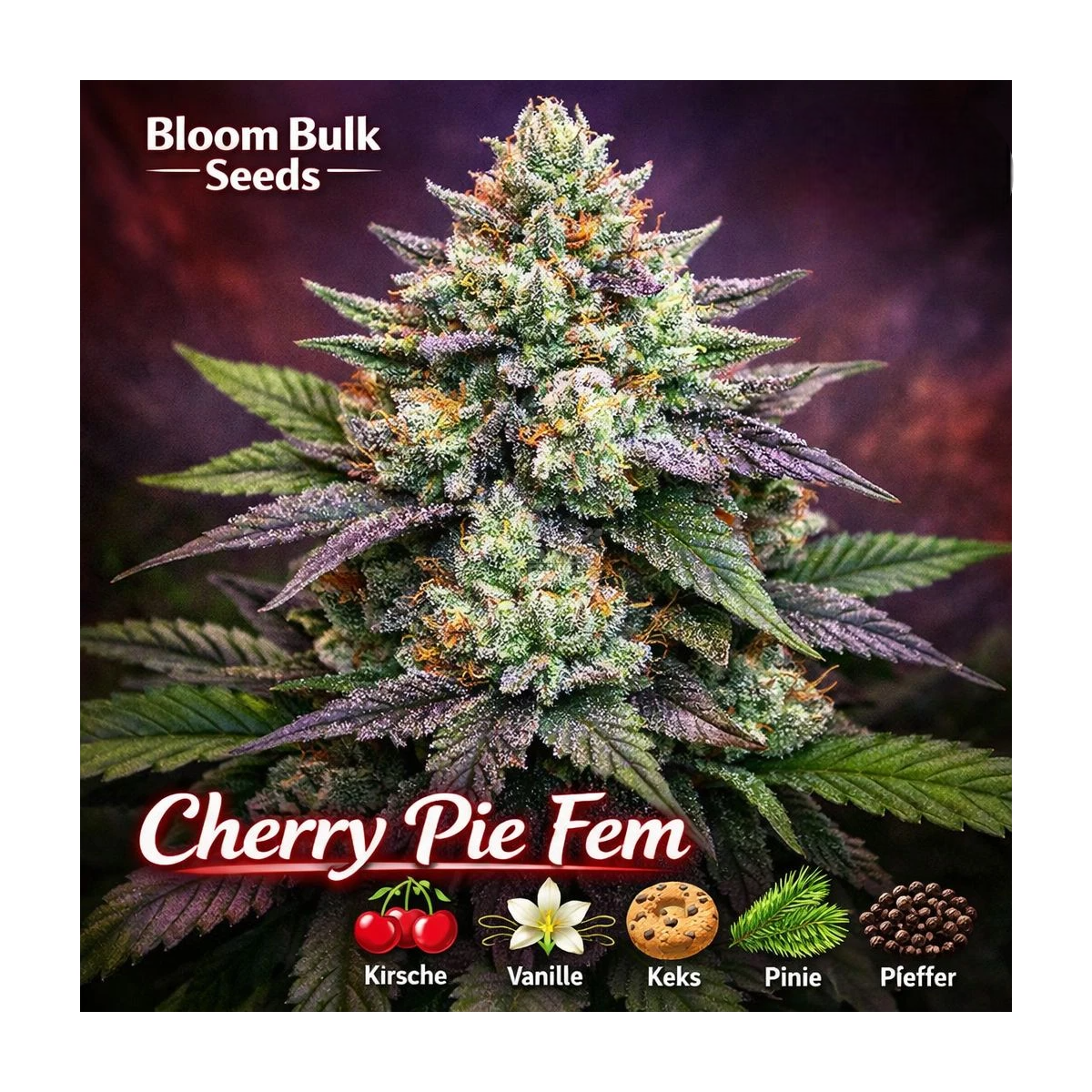 Cherry Pie Cannabis Samen | Leaf and Soul