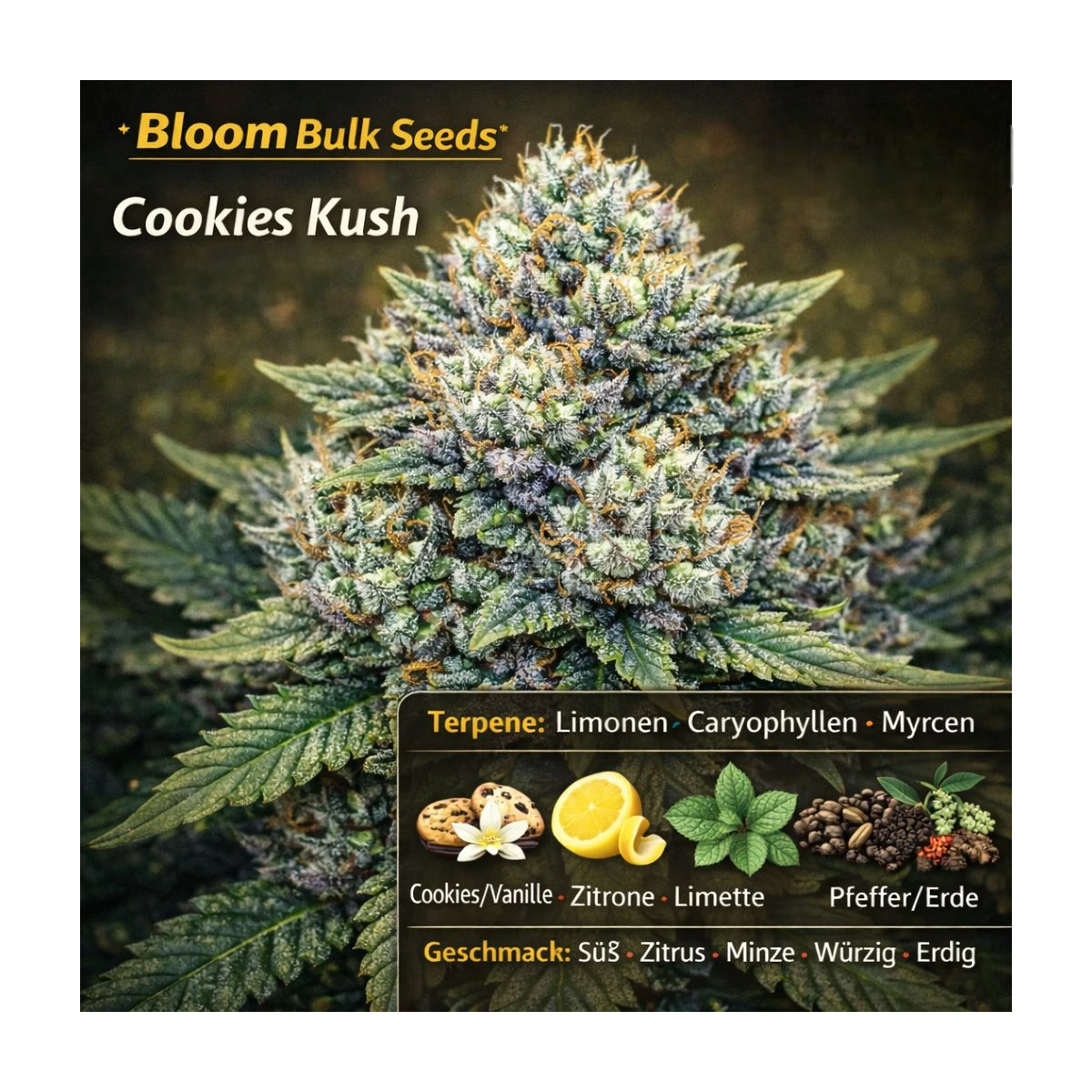 Cookies Kush