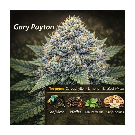 Gary Payton