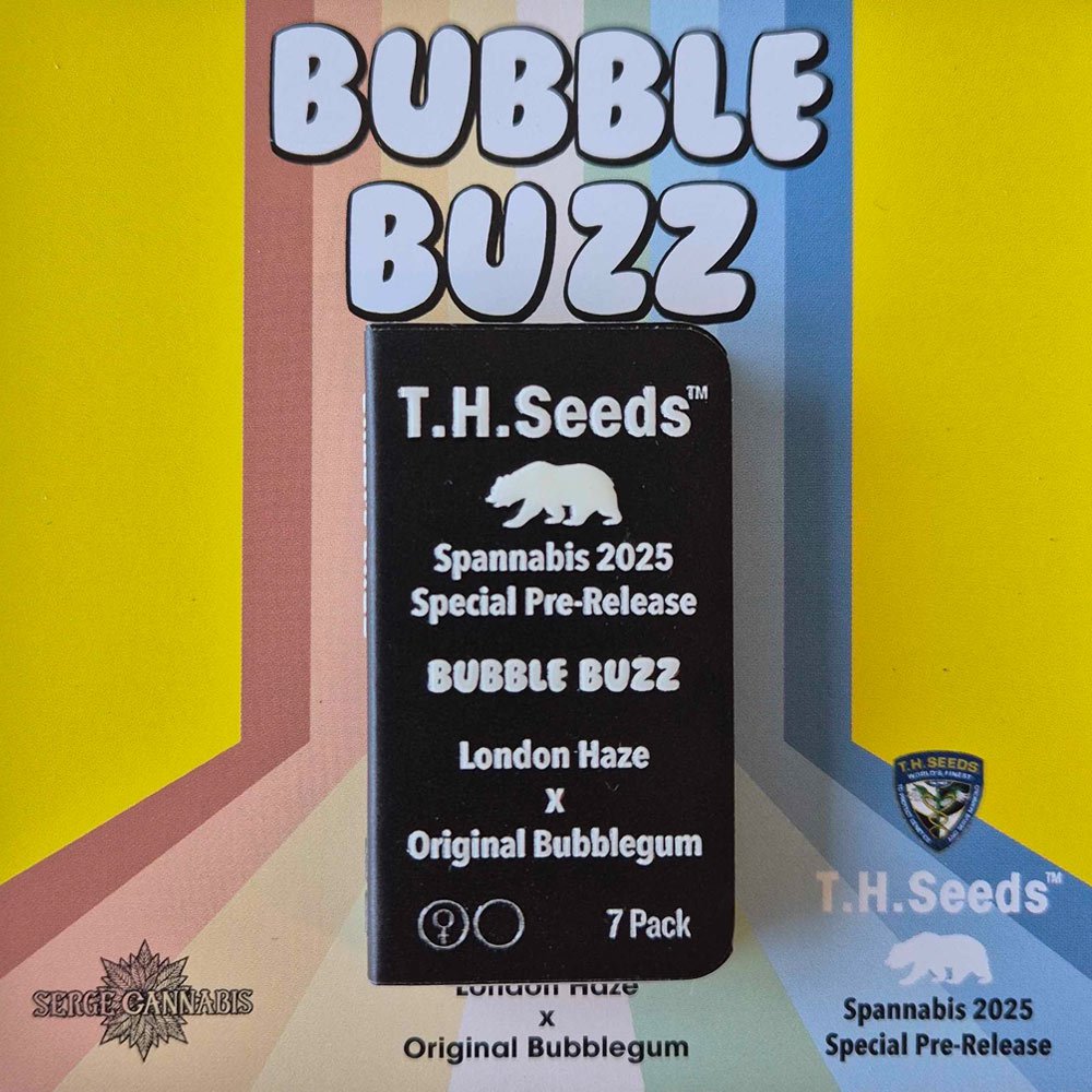 BubbleBuzz - Bild 4 von 6