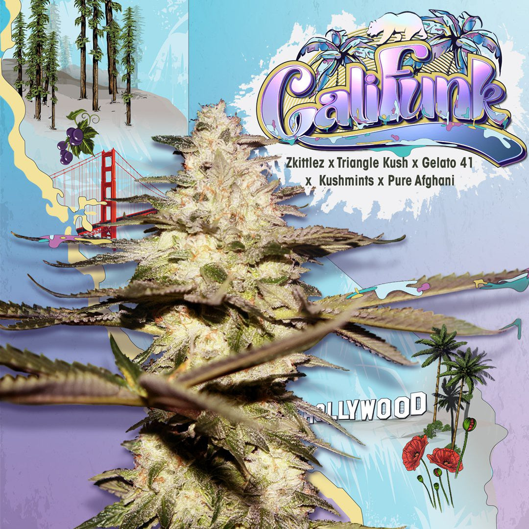 CaliFunk - THSeeds Samen