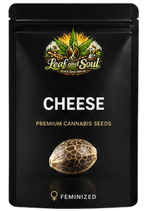 Cheese