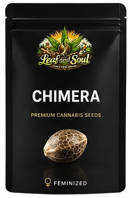 Chimera