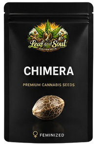 Chimera