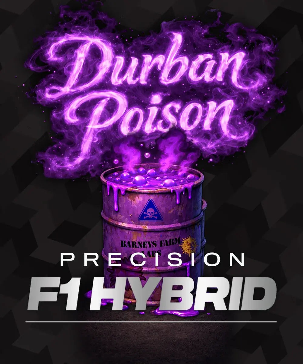 Durban Poison Cannabis Samen kaufen bei Leaf & Soul