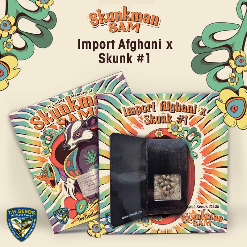 Import Afghani x Skunk #1 - Skunkman Sam - Bild 5 von 6