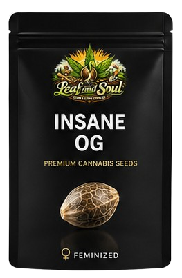 Insane OG
