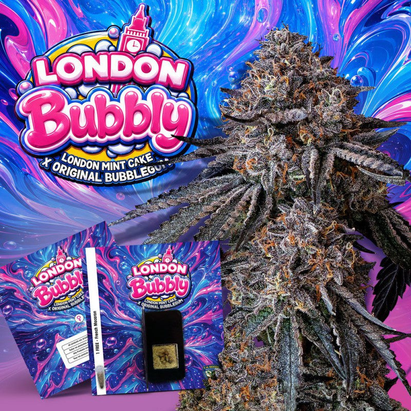 London Bubbly - Bild 2 von 6