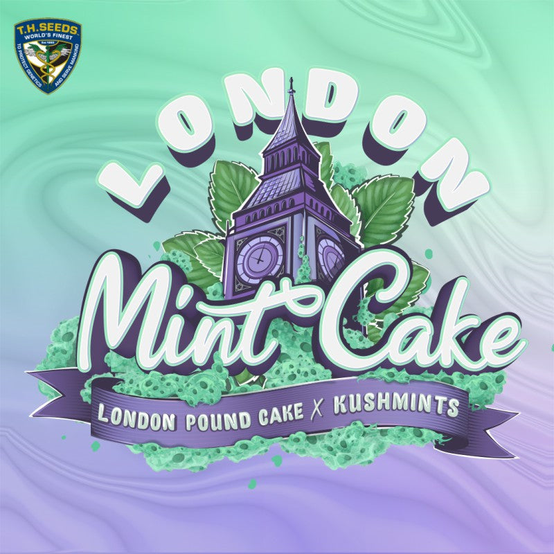 London Mint Cake - Bild 3 von 6
