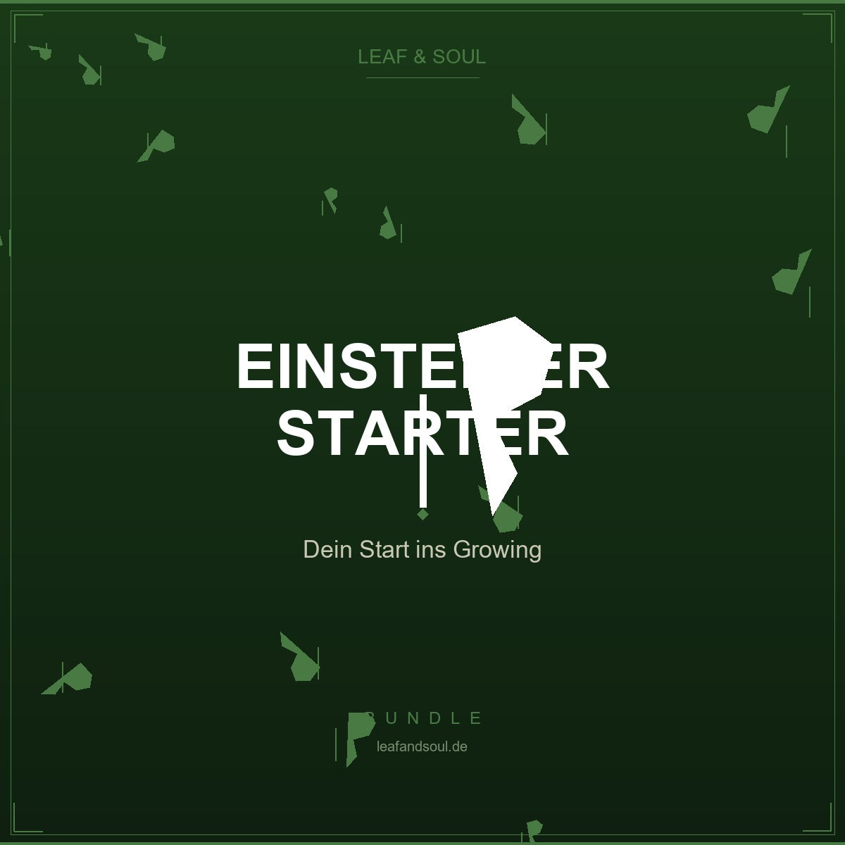 Anfaenger-Paket | Leaf and Soul Cannabis Samen kaufen bei Leaf & Soul