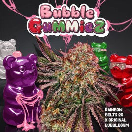 Orangesicle - THSeeds Samen