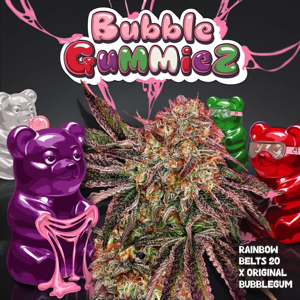 BubbleGummieZ - Bild 1 von 6