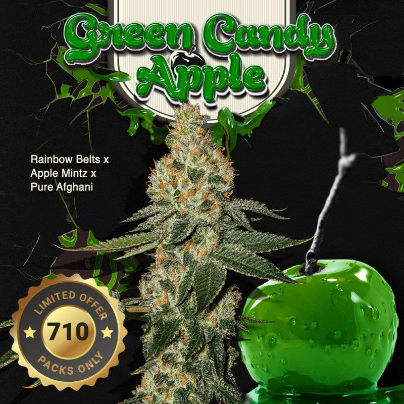 Green Candy Apple - Bild 2 von 6