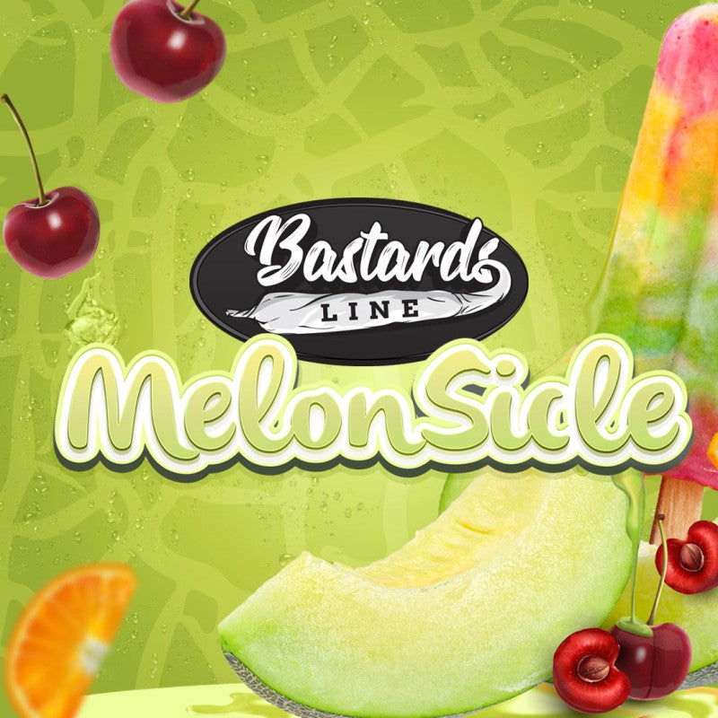 MelonSicle - Bild 3 von 6