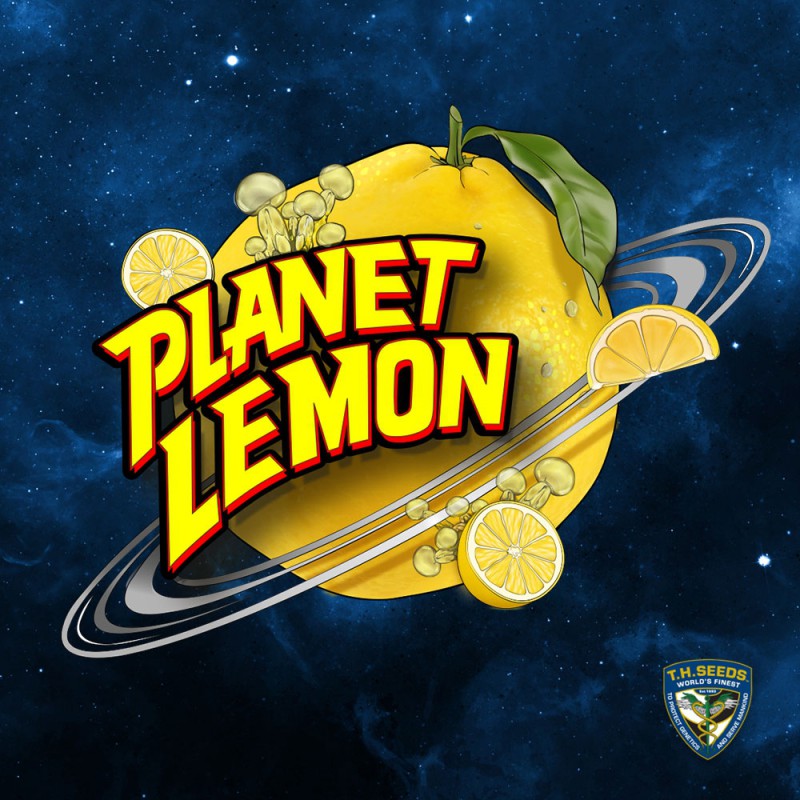 Planet Lemon - Bild 6 von 6