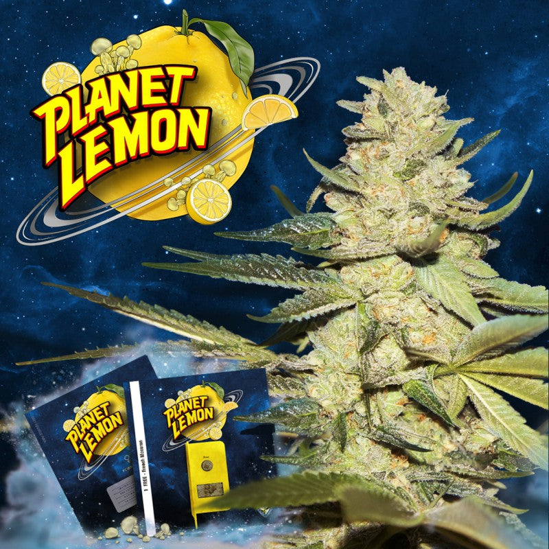 Planet Lemon - Bild 1 von 6