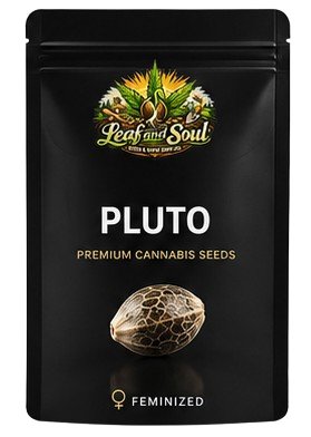 Pluto