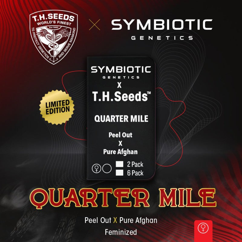 Quarter Mile - Bild 1 von 2