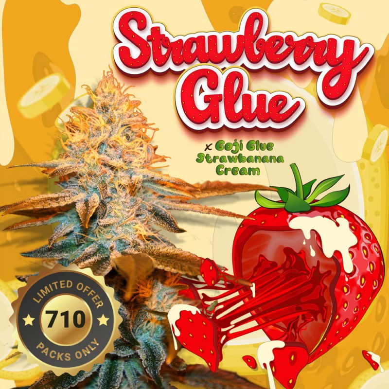 Strawberry Glue 710 Special Pack - Bild 1 von 6