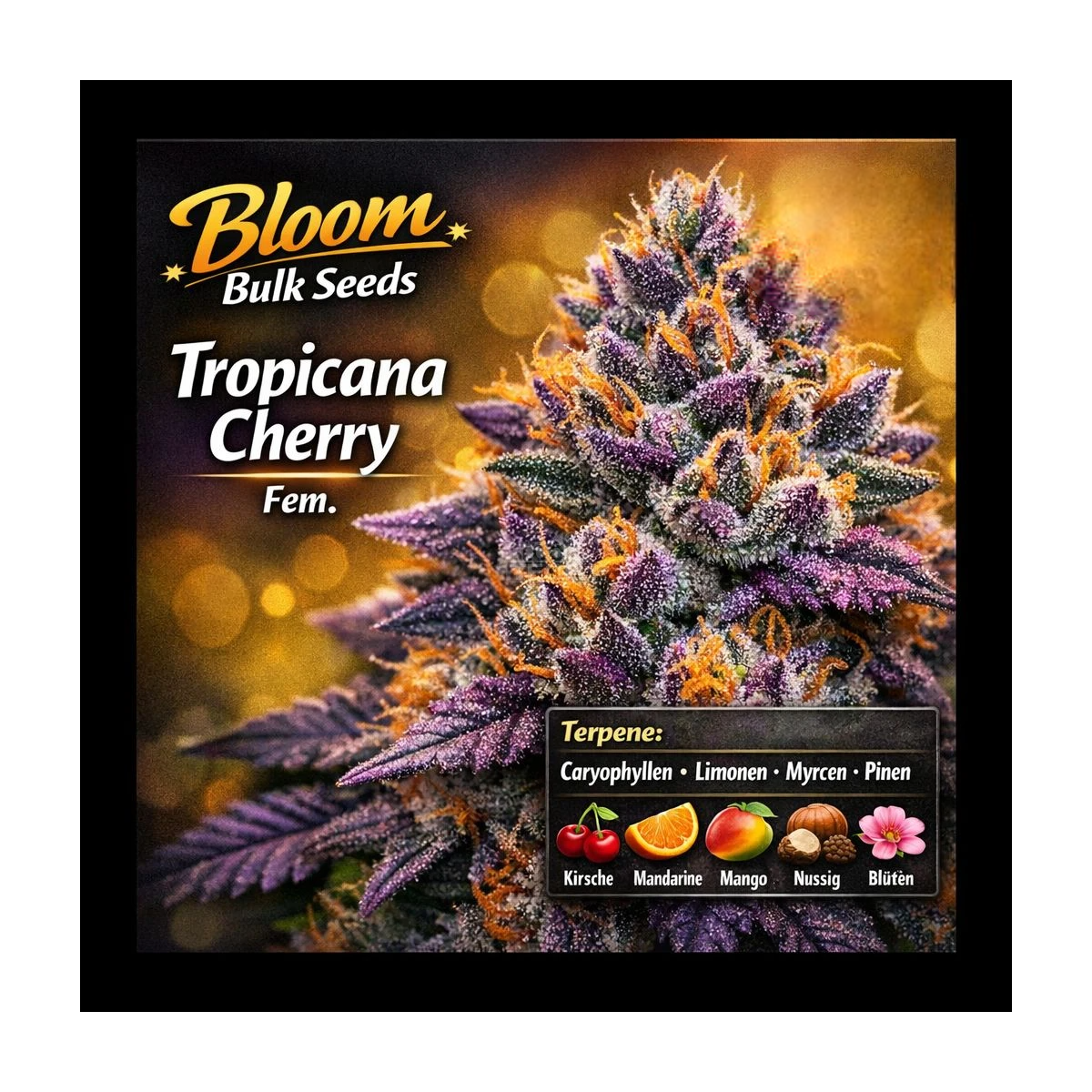 Tropicana Cherry