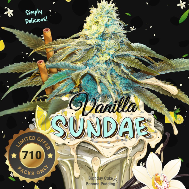 Vanilla Sundae 710 Special Pack - Bild 1 von 6