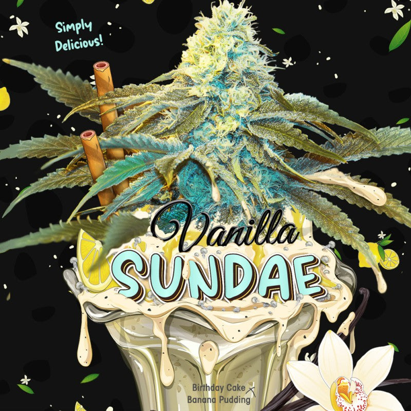 Vanilla Sundae - Bild 2 von 6