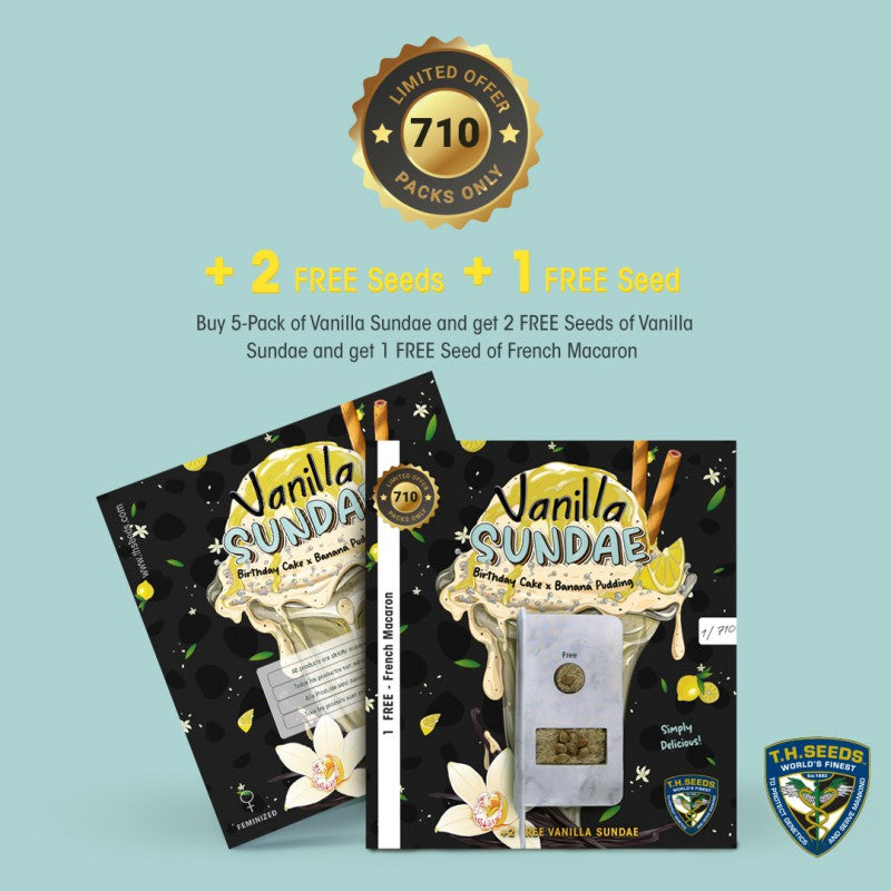 Vanilla Sundae 710 Special Pack - Bild 3 von 6
