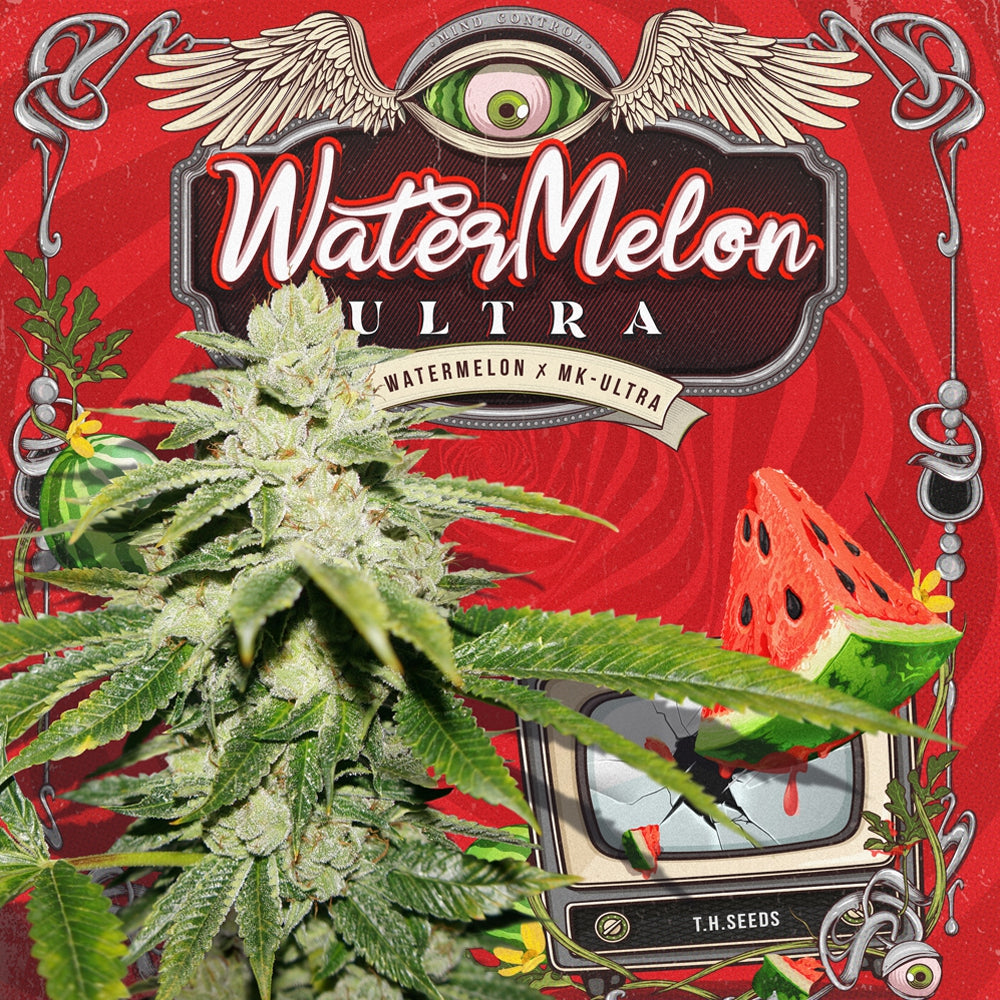 WaterMelon Ultra - Bild 1 von 6