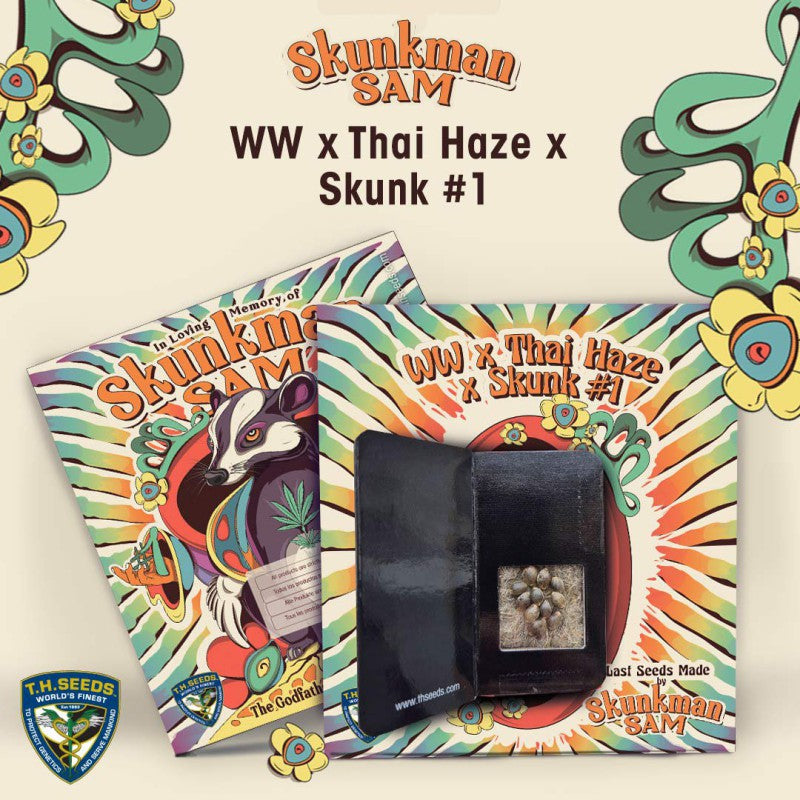 WW x Thai Haze x Skunk #1 - Skunkman Sam - Bild 2 von 6